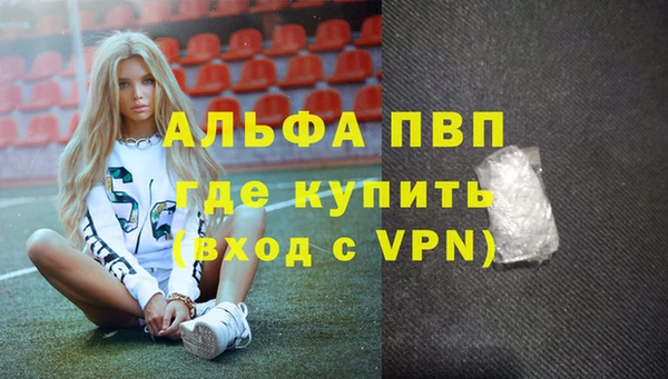 СК Алексин