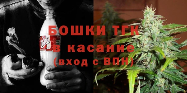 индика Абинск
